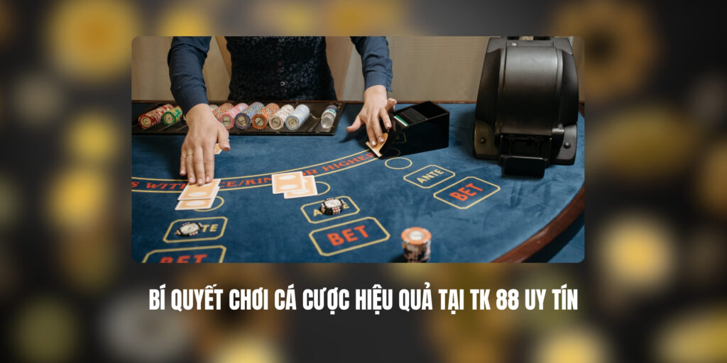 Bí Quyết Chơi Cá Cược Hiệu Quả Tại TK 88 Uy Tín 1 Bí Quyết Chơi Cá Cược Hiệu Quả Tại TK 88 Uy Tín